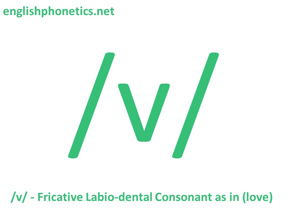 How to pronounce the sound /v/: voiced, labiodental, fricative consonant