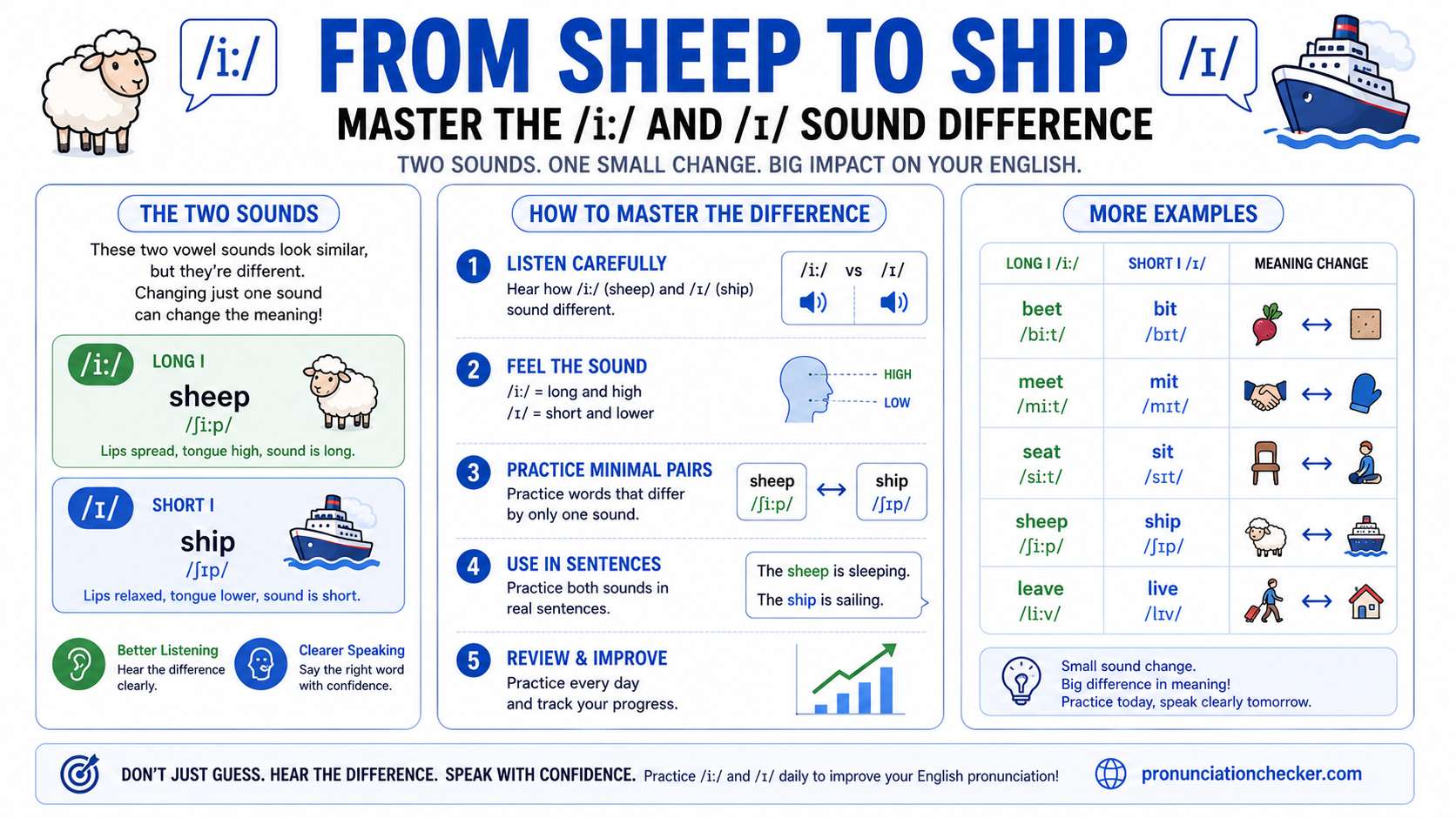 From sheep to ship - Cover Image
